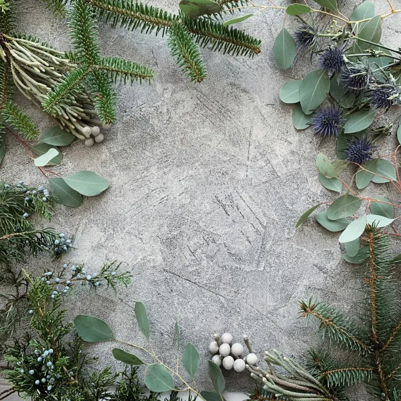 ヒイラギやユーカリ、松の枝などの植物がコンクリート調の背景の周囲に配置され、中央が空白になっている構図。